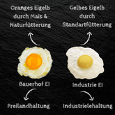 Frische Eier Freilandeier direkt vom Bauernhof Größe M natürlich gefüttert 30 Stück